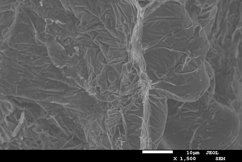 Bild från svepelektronmikrosop av brottytan från ett dragprov