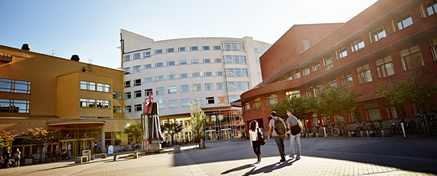 Students walking across campus on a sunny day 