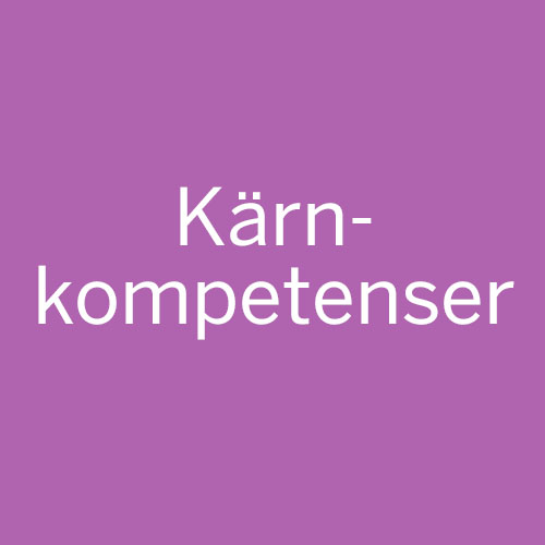 Kärnkompetenser