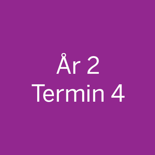 År2-Termin4